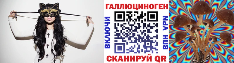 Галлюциногенные грибы Cubensis  shop клад  Биробиджан 